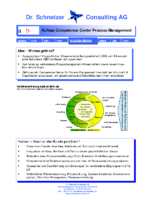 Success-Story UBS Competence Center Process Management
